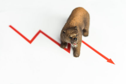 Red arrow trending down behind a roaring bear.