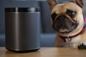 UK, October 2019: Sonos play black wireless speaker with pet dog looking