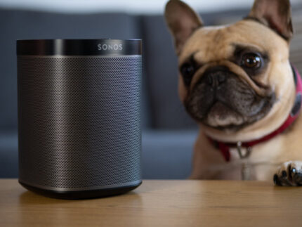 UK, October 2019: Sonos play black wireless speaker with pet dog looking