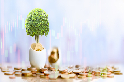 Coins on a table and in a pot with small tree, representing dividend growth.