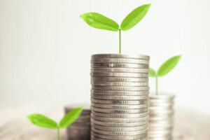 Growing plant on rows of coin money for finance and banking concept