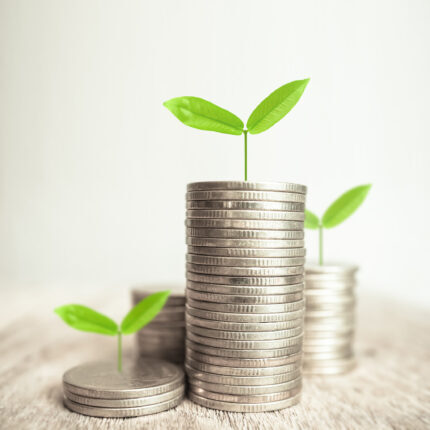 Growing plant on rows of coin money for finance and banking concept