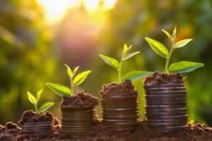 73937275 - money growing concept,business success concept, tree growing on pile of coins money