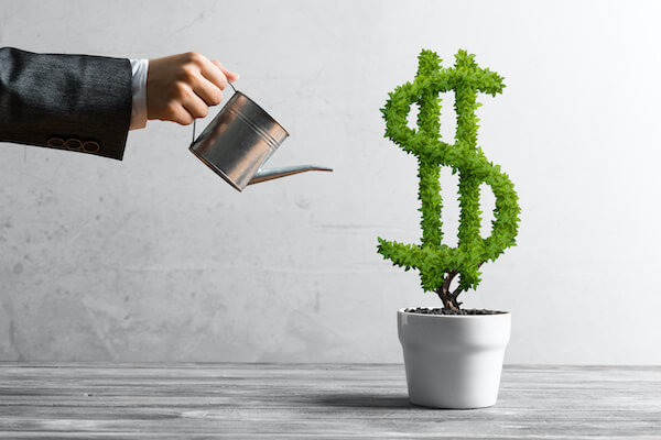 income producing assets: Man watering a plant shaped like a dollar sign