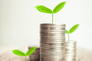 Your Plan for Portfolio Growth in 2023