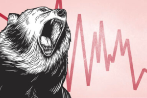 The Perfect Stock to Buy in a Bear Market