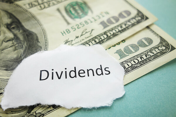 portfolio income: dividends written on a piece of paper on top of some cash