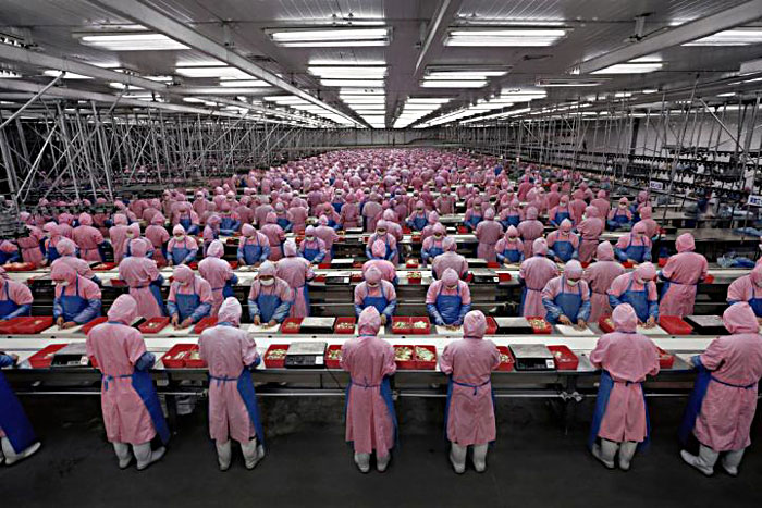 Hundreds of people in pink suits working in a Chinese factory.