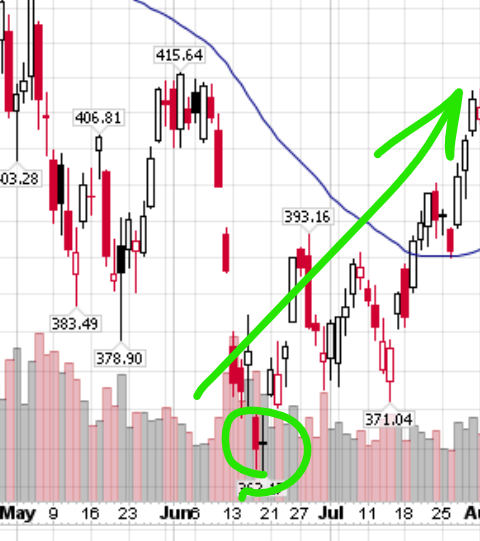 Graph showing the rally after Melvin predicted it.