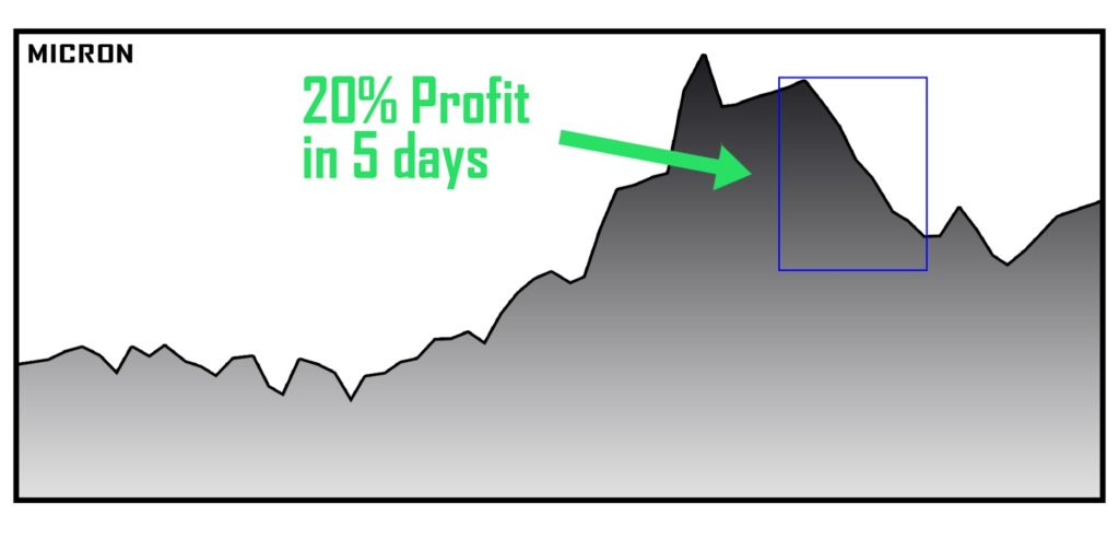Micron chart showing a 20% profit.