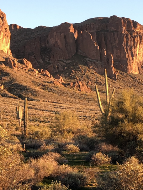 Image of landscape at Jay's house in AZ