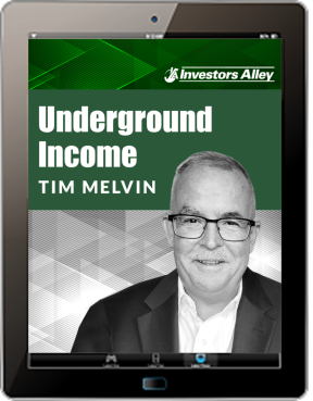 Underground Income iPad newsletter image at a medium size