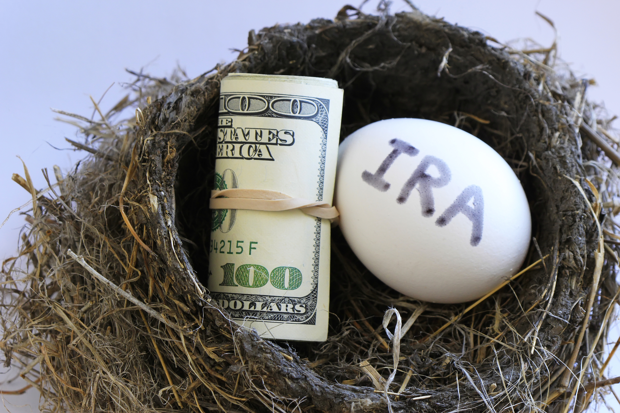 Nest with money and egg with IRA on it
