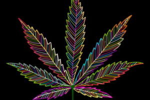 Cannabis leaf, sketch for your design. Vector illustration