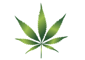 TLRY Stock Price Jumps on Aphria Merger News, Becoming Largest Cannabis Company
