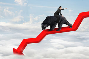 Businessman riding black bear on red arrow downward trend line with sky cloudscape background. Fight back bearish market concept.