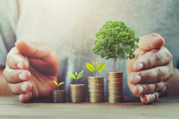 Stacks of coins on a table, with trees growing out of them