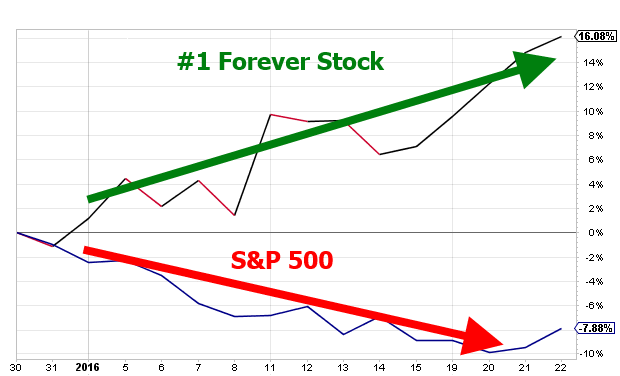 number-one-forever-stock-v-s-and-p-500