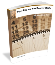 report-cover-bcg-forever-stocks-216