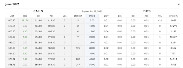 what are stock options: screenshot of Tesla options for June 2021 on MarketWatch